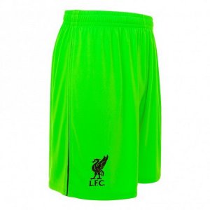 Pantalon Liverpool Exterieur Gardien 2018 2019 Vert Pas Cher