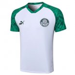 Maillot Entrainement Palmeiras 2023 2024 Blanc Vert