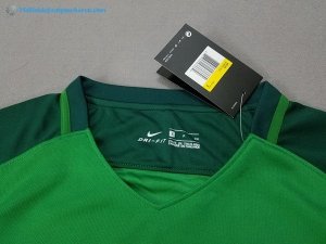 Maillot Nigeria Domicile 2018 Vert Pas Cher