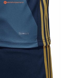 Maillot Bosnie Herzégovine Domicile 2018 Pas Cher