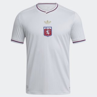 Thailande Maillot Olympique Lyonnais Anniversary 2025 2026 Thailande Maillot Olympique Lyonnais Anniversary 2025 2026