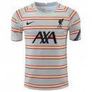Thailande Maillot Liverpool Pre Match 2022 Gris
