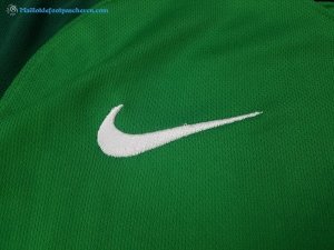 Maillot Nigeria Domicile 2018 Vert Pas Cher