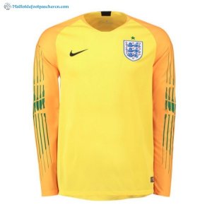 Maillot Angleterre Manga Larga Gardien 2018 Jaune Pas Cher