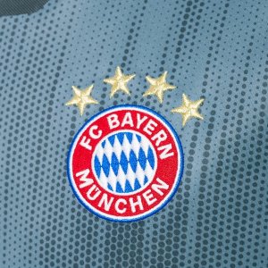 Maillot Bayern Munich Third 2018 2019 Gris Pas Cher