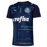 Thailande Maillot Palmeiras Gardien 2021 2022 Bleu Pas Cher
