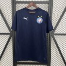 Thailande Maillot Bahia training 2025 2026 Thailande Maillot Bahia training 2025 2026