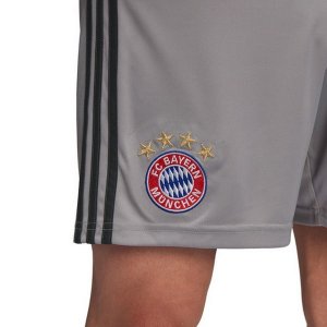 Pantalon Bayern Munich Domicile Gardien 2018 2019 Gris Pas Cher