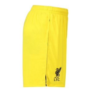 Pantalon Liverpool Domicile Gardien 2018 2019 Jaune Pas Cher