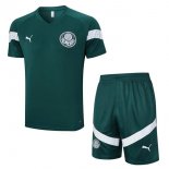 Maillot Entrainement Palmeiras Ensemble Complet 2023 2024 Vert