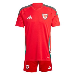 Thailande Maillot Pays de Galles Domicile Enfant 2024 Thailande Maillot Pays de Galles Domicile Enfant 2024