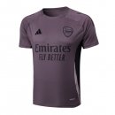Maillot Entrainement Arsenal 2025 2026 Purpura Gris