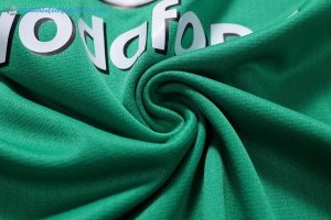 Maillot Rugby Irlande Domicile 2018 Vert Pas Cher