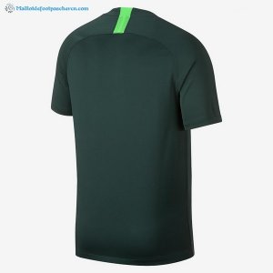 Maillot Nigeria Exterieur 2018 Vert Pas Cher