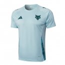 Maillot Entrainement Cruzeiro 2025 2026 Bleu