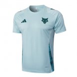 Maillot Entrainement Cruzeiro 2025 2026 Bleu