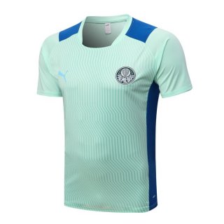 Maillot Entrenamien Palmeiras 2022 2023 Vert