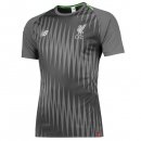 Maillot Entrainement Liverpool 2018 2019 Gris Pas Cher