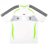 Maillot Juventus Spécial 2019 2020 Blanc Vert Pas Cher