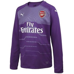 Maillot Arsenal ML Gardien 2018 2019 Purpura Pas Cher