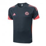 Maillot Entrainement Bayern Munich 2025 2026 Gris 4