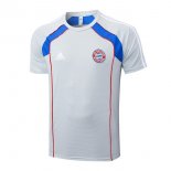 Maillot Entrainement Bayern Munich 2025 2026 Gris 3