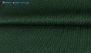 Maillot Nigeria Exterieur 2018 Vert Pas Cher