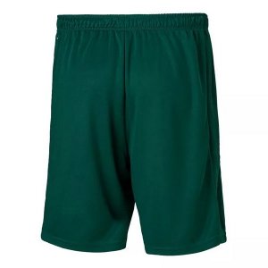 Pantalon Palmeiras Exterieur 2020 2021 Vert Pas Cher
