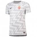 Maillot Entrainement AS Monaco 2018 2019 Gris Pas Cher