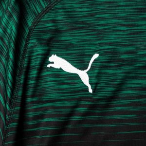 Maillot Borussia Mönchengladbach Exterieur 2018 2019 Vert Pas Cher