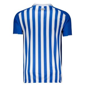 Maillot Avaí FC Domicile 2019 2020 Bleu Pas Cher