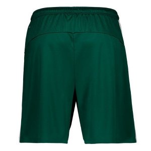 Thailande Pantalon Palmeiras Exterieur 2019 2020 Vert Pas Cher