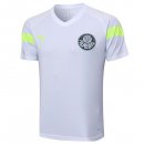 Maillot Entrainement Palmeiras 2023 2024 Blanc