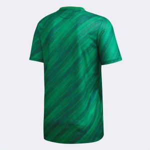 Maillot Irlande Del Norte Domicile 2020 Vert Pas Cher