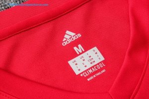 Entrainement Bayern Munich Ensemble Complet 2017 2018 Rouge Bleu Pas Cher