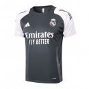 Maillot Entrainement Real Madrid 2024 2025 Gris